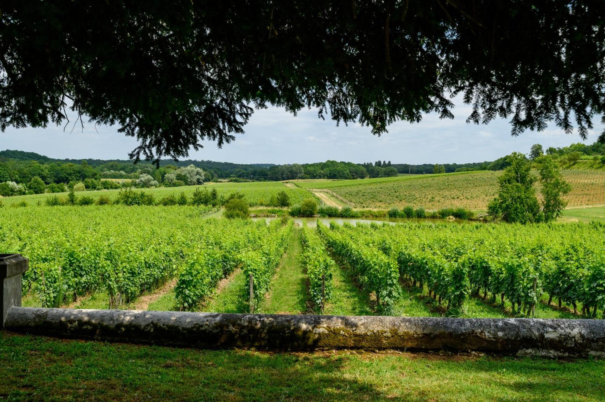 Les Secrets Chateau Pey La Tour - Logis Hotels & Restaurant Salleboeuf Exterior foto