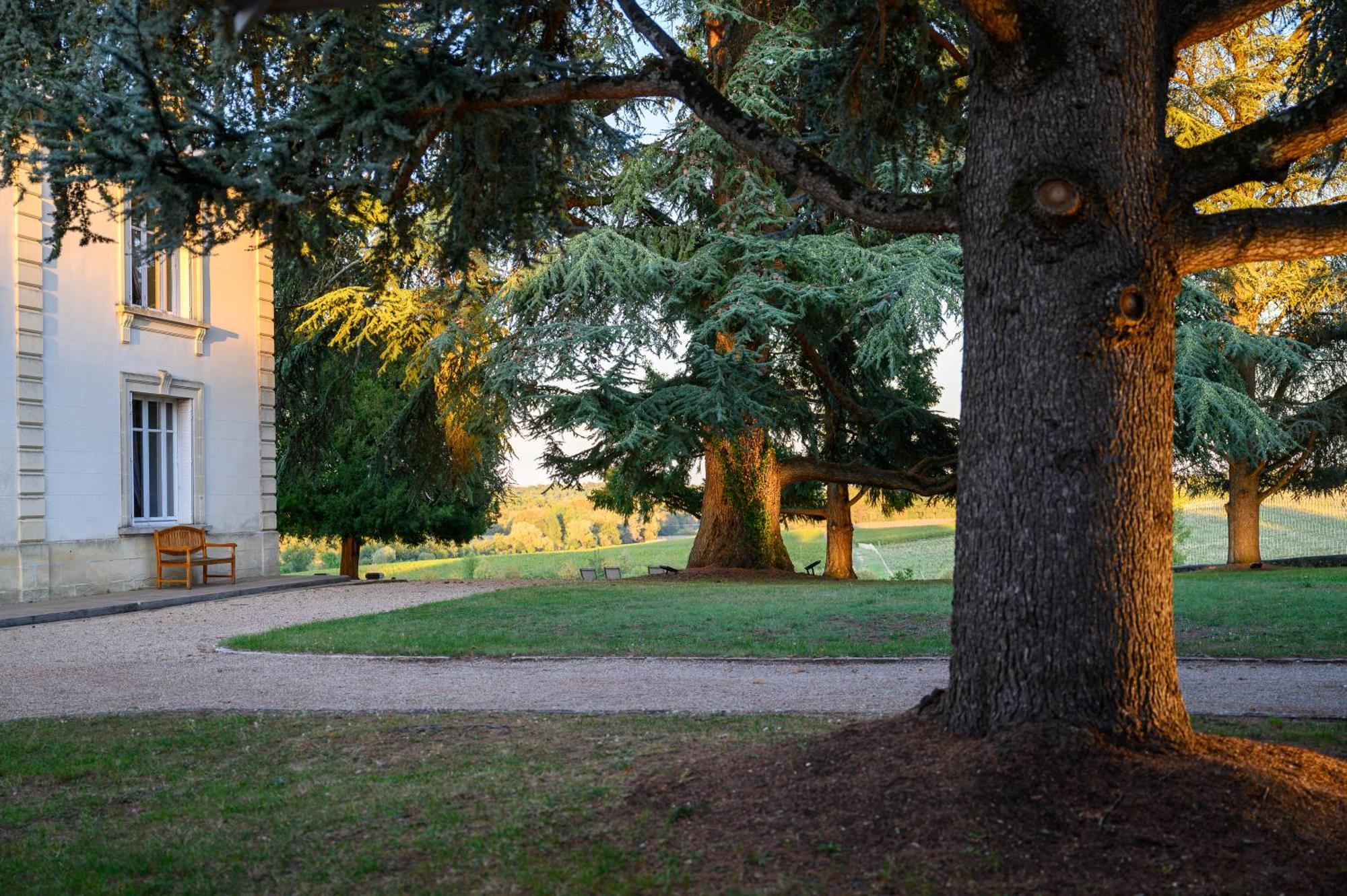 Les Secrets Chateau Pey La Tour - Logis Hotels & Restaurant Salleboeuf Exterior foto