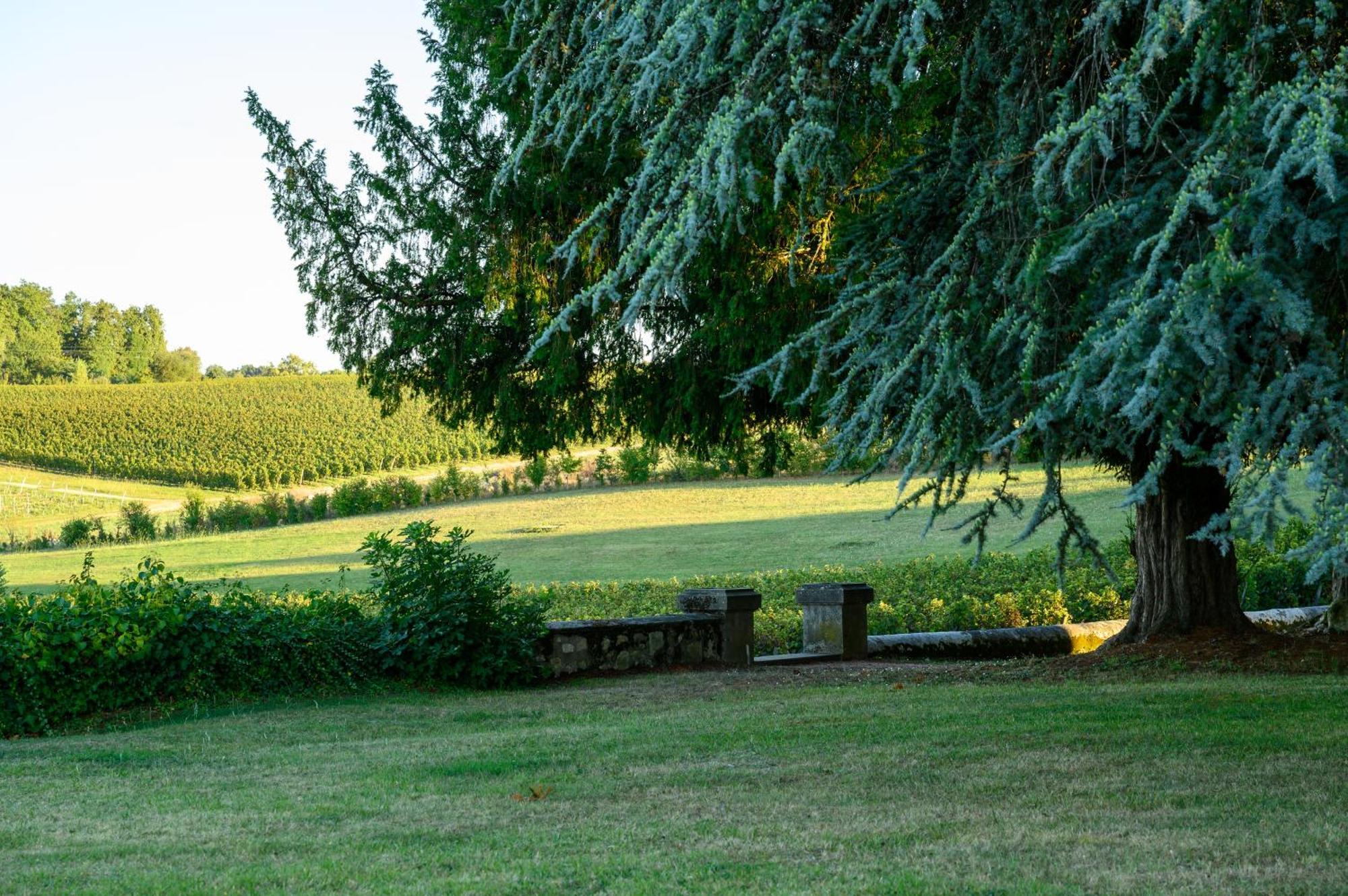 Les Secrets Chateau Pey La Tour - Logis Hotels & Restaurant Salleboeuf Exterior foto