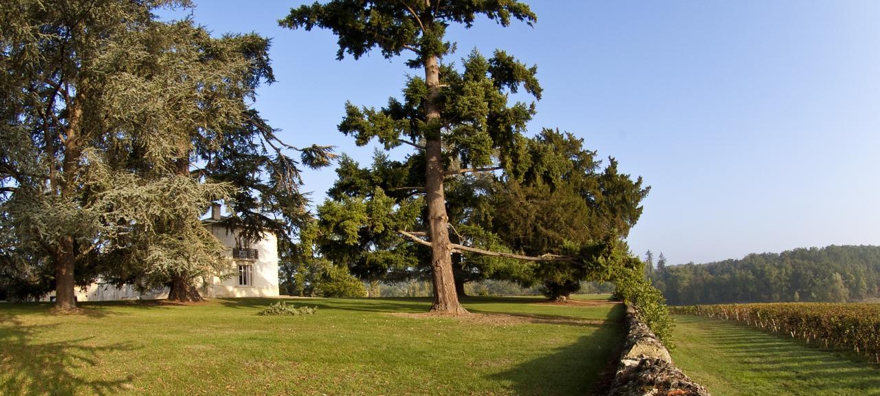 Les Secrets Chateau Pey La Tour - Logis Hotels & Restaurant Salleboeuf Exterior foto