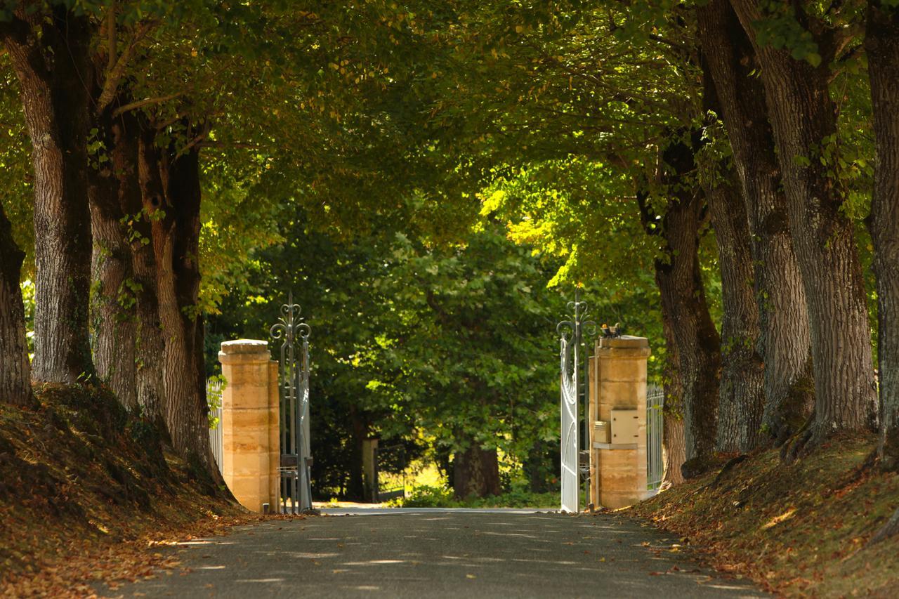 Les Secrets Chateau Pey La Tour - Logis Hotels & Restaurant Salleboeuf Exterior foto