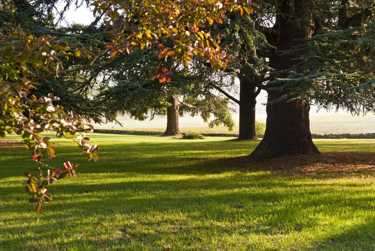 Les Secrets Chateau Pey La Tour - Logis Hotels & Restaurant Salleboeuf Exterior foto